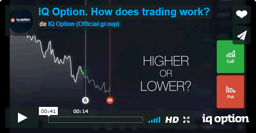 MowXml, Trading Master, IQ Option. How does trading work?