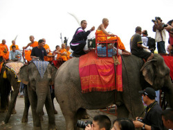 Thaïlande : la route des citadelles khmères : les éléphants