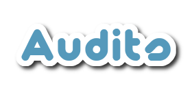 Audit