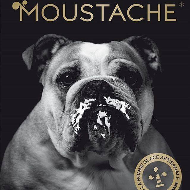 Glacier artisanal Moustache Avignon: Crêpes et glaces artisanales à Avignon