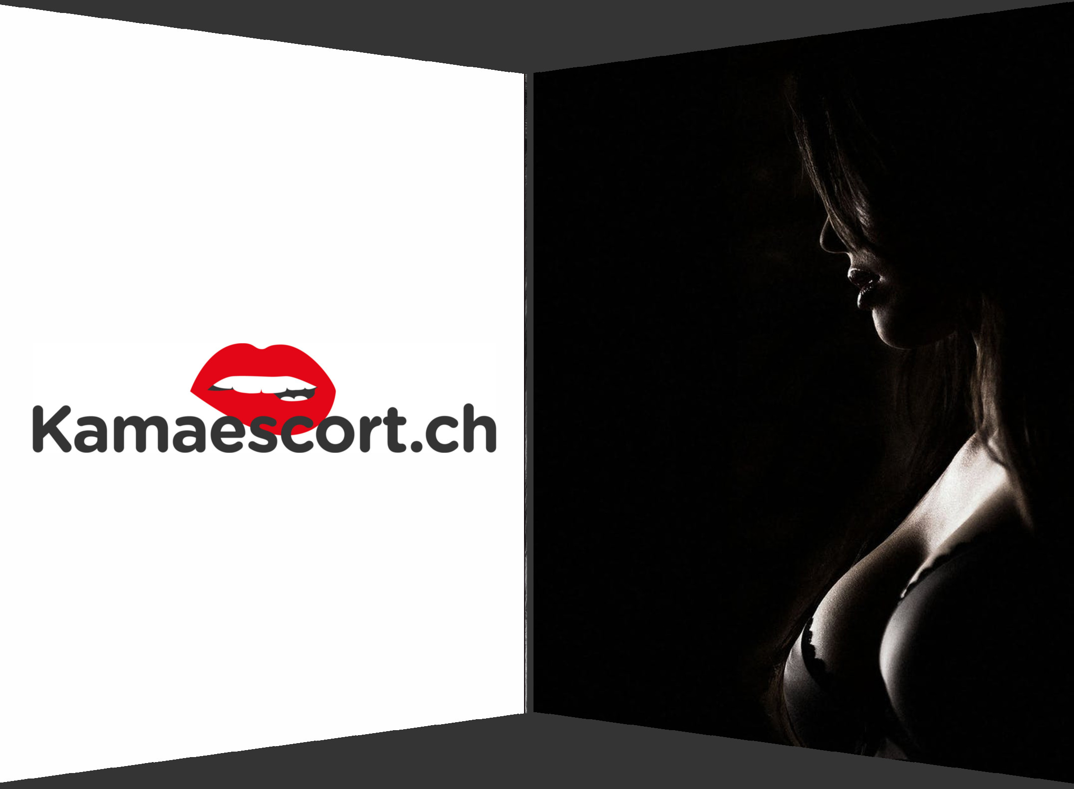 Comment référencer des petites annonces escort zurich ?