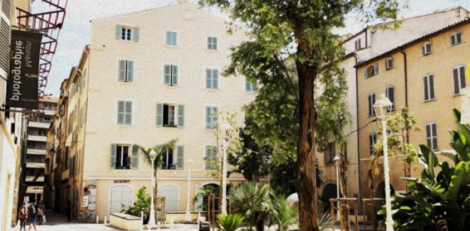 Location Bien Avec Option D Achat A Toulon Serena Immo